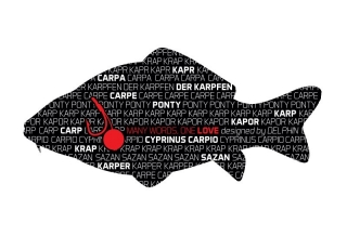 Samolepka pro rybáře KAPR série Words